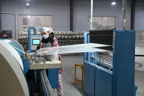 全国市场份额占比百分之六十 产品出口二十多个国家 荆州苎麻产业 成长记