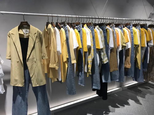 DBZ独辫子服饰2020终端形象再升级，焕新体验引领潮流风尚